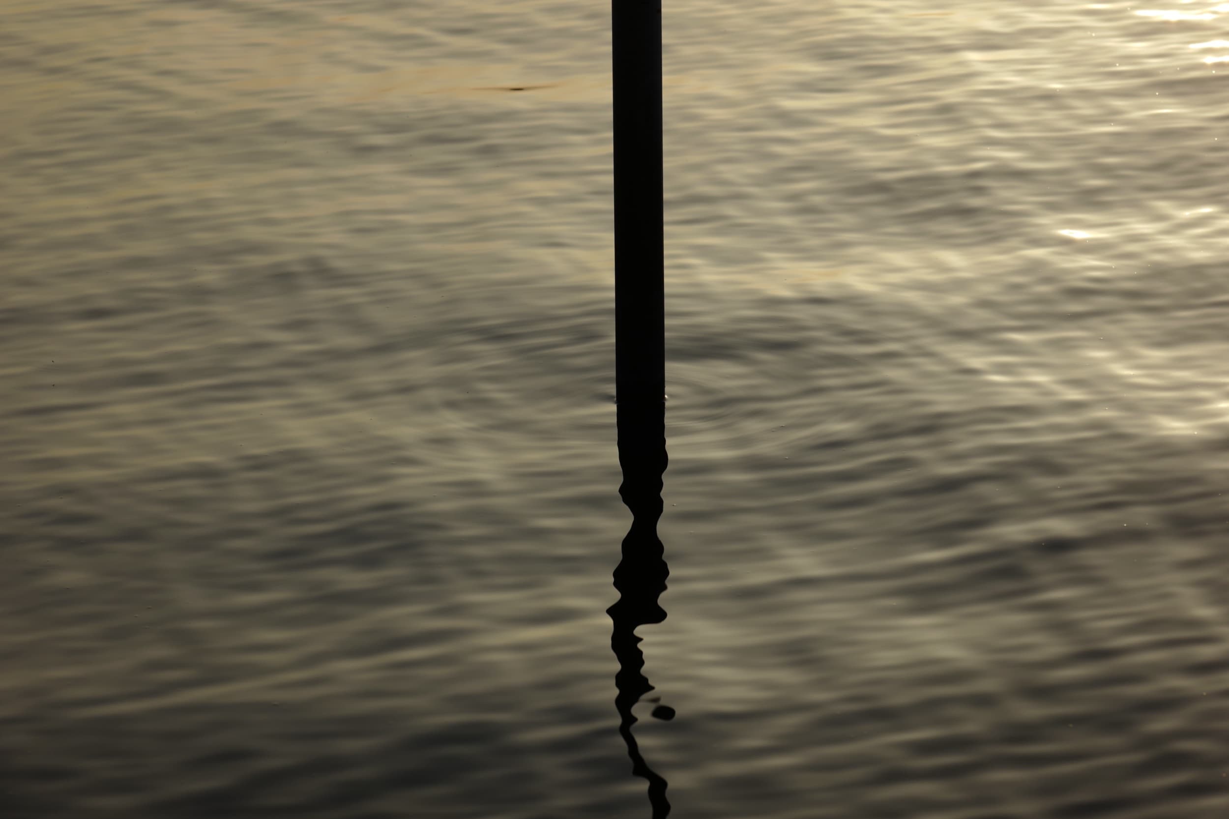 Ruhige Wasseroberfläche im Abendlicht