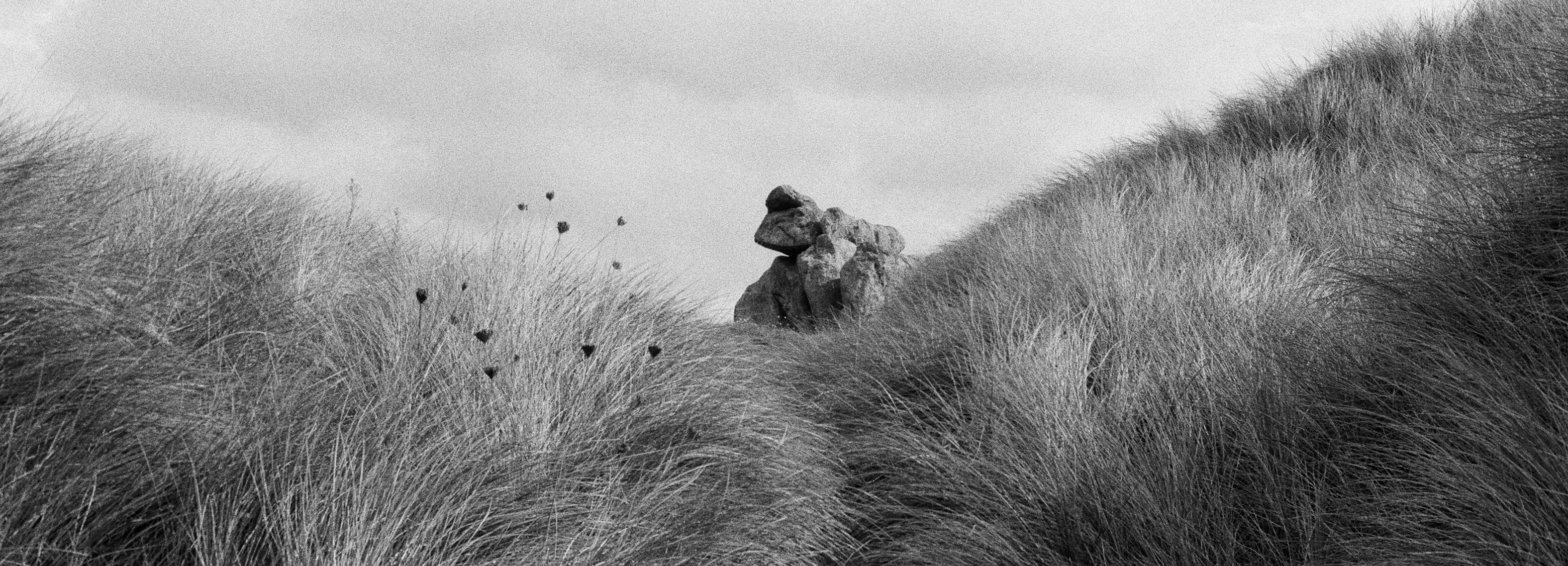 Julian Ivo Hopp Kontakt