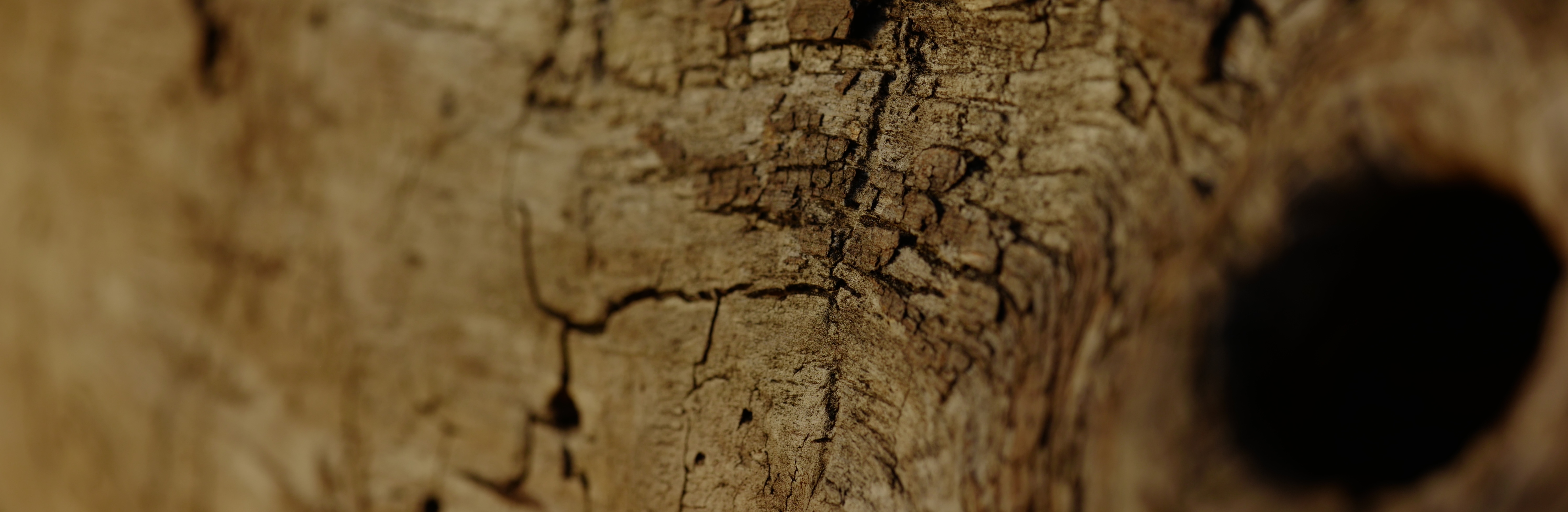 Psychologische Beratung in Berlin, Charlottenburg und Wilmersdorf. Online oder in Präsenz.