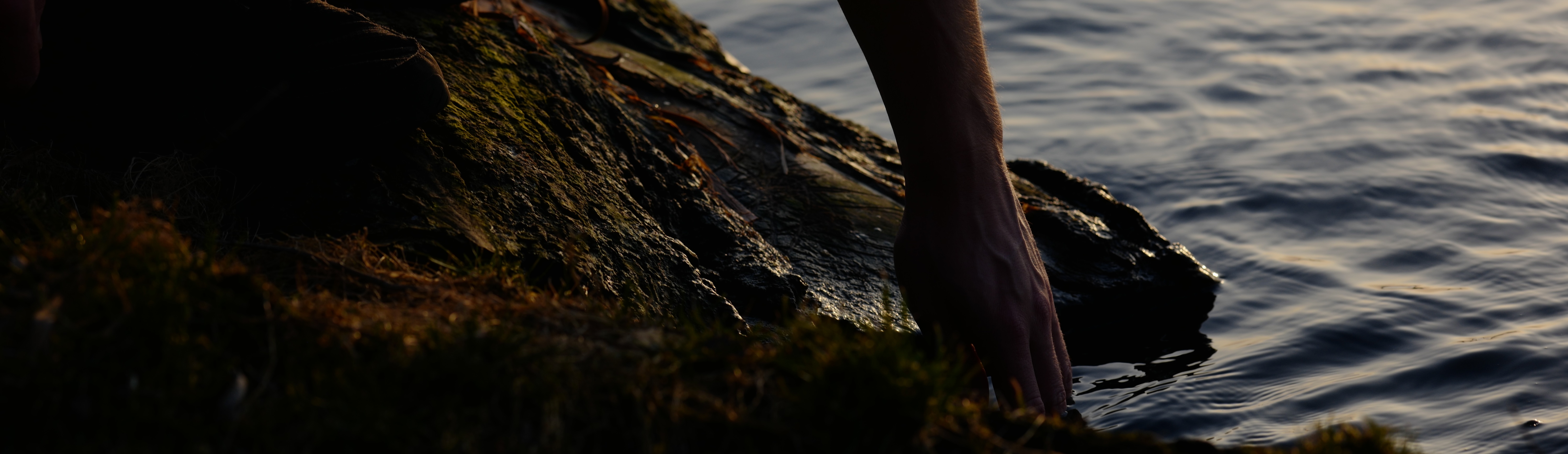 Sexualtherapie in Berlin, Charlottenburg und Wilmersdorf. Online oder in Präsenz.