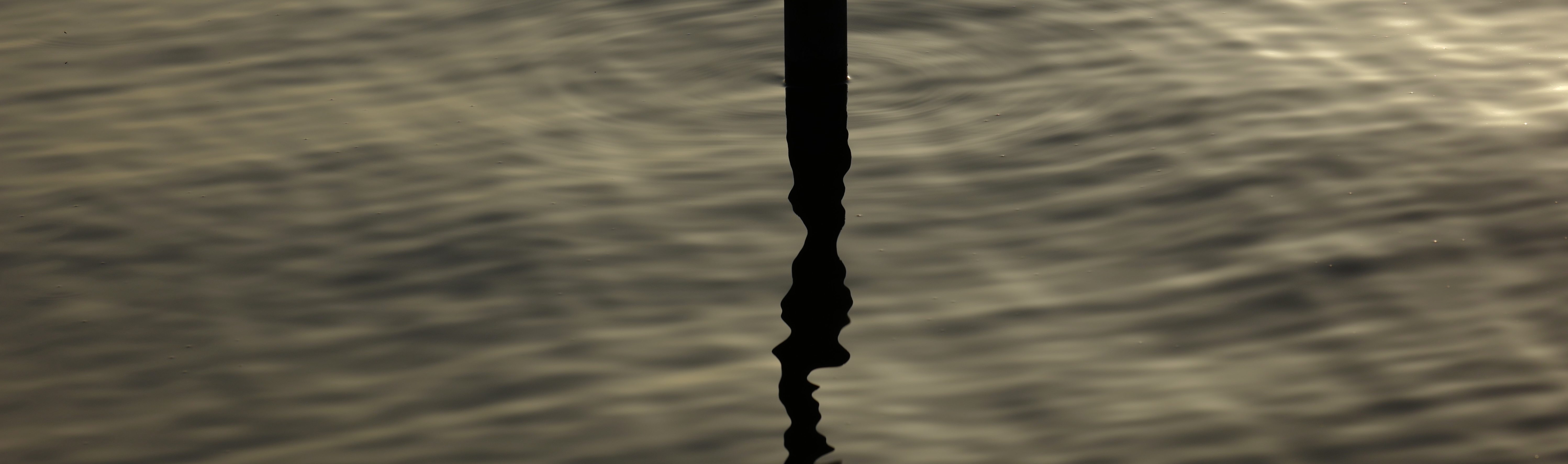 Systemische Therapie in Berlin, Charlottenburg und Wilmersdorf. Online oder in Präsenz.