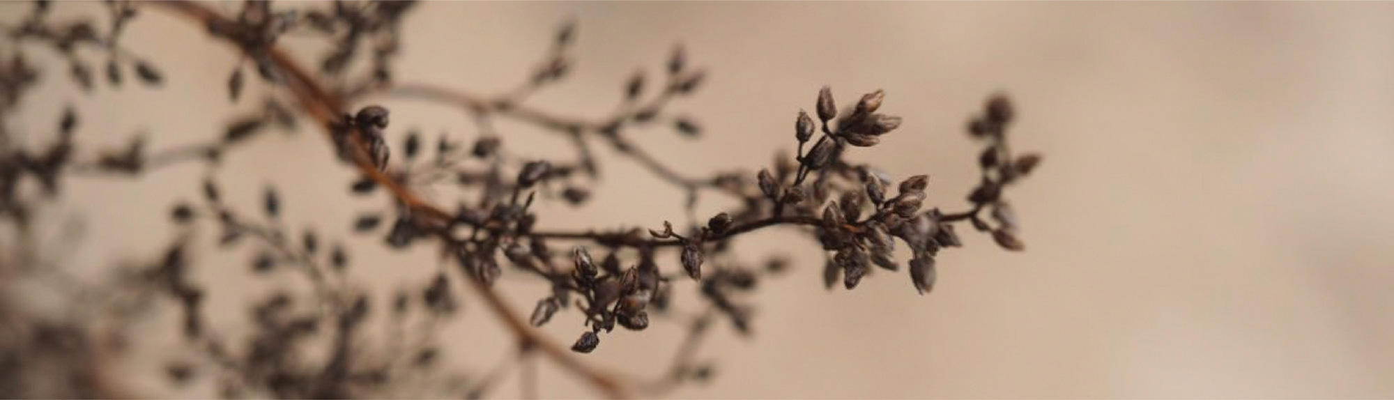 Psychosophische Lebenspraxis